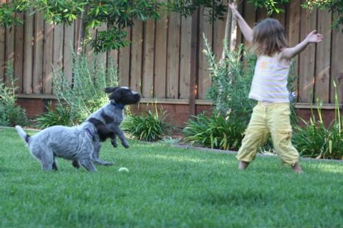 Luca and Griff playing with girl